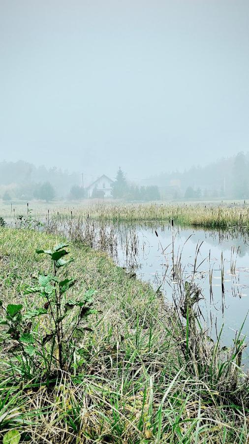 Gospodarstwo Agroturystyczne Zasadkowe Bory Rogowo  Extérieur photo